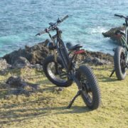 【新規取り扱いE-BIKEブランド】WO BIKES | M2X-1